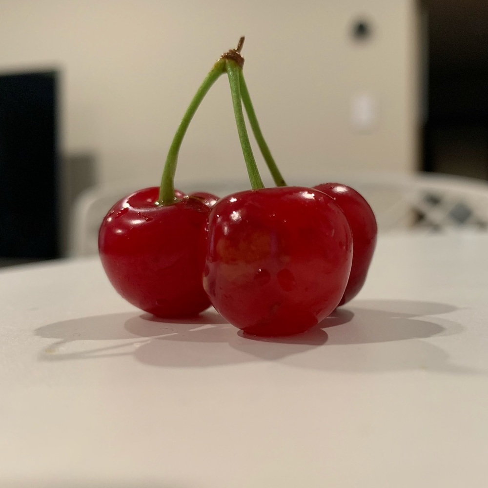 Meet your Posher, Diana